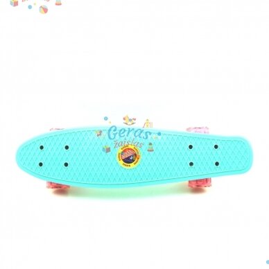 Riedlentė Pennyboard 58cm su šviečiančiais ratukais 19