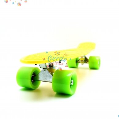 Riedlentė Pennyboard 55 cm 37