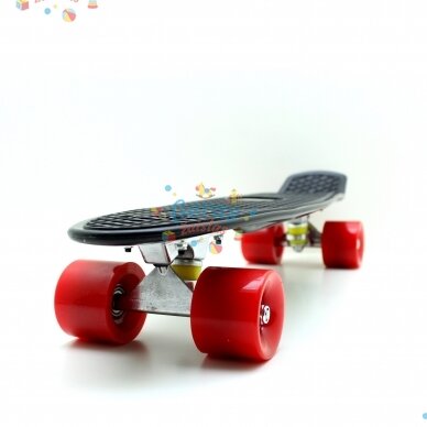 Riedlentė Pennyboard 55 cm 43