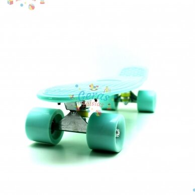 Riedlentė Pennyboard 55 cm 38