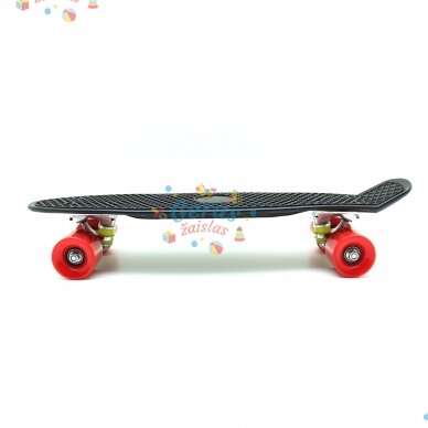 Riedlentė Pennyboard 55 cm 9