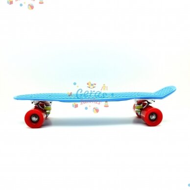 Riedlentė Pennyboard 55 cm 14