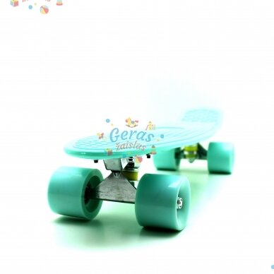 Riedlentė Pennyboard 55 cm 18