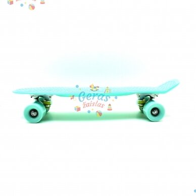 Riedlentė Pennyboard 55 cm 19