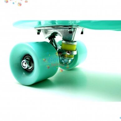 Riedlentė Pennyboard 55 cm 22