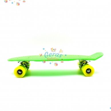 Riedlentė Pennyboard 55 cm 33